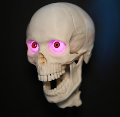 Click here to order a 3-Axis Skull today!